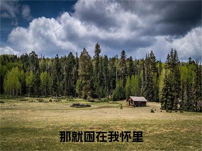 邵清宁肖珩小说（那就困在我怀里）全文免费阅读无弹窗大结局-那就困在我怀里最新热点小说