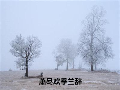 萧尽欢季兰辞（萧尽欢季兰辞）新上热文小说全文免费阅读-小说（萧尽欢季兰辞）完整版阅读