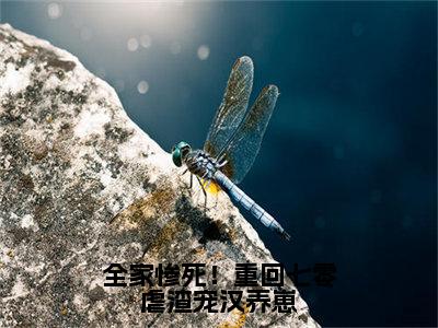 全家惨死！重回七零虐渣宠汉养崽（苏提魏百川）抖音热推小说全集无删减，苏提魏百川小说在线免费阅读大结局