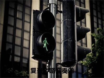 （复兴中路变奏曲）在线阅读-主角是（林苑）的小说复兴中路变奏曲全文赏析最新章节列表_笔趣阁