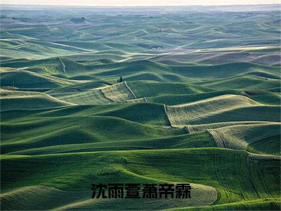 沈雨萱萧帝霖全文小说（萧帝霖沈雨萱）-完整版小说萧帝霖沈雨萱（沈雨萱萧帝霖）热文免费阅读