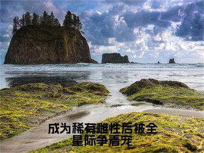 巫曦（成为稀有雌性后被全星际争着宠）全集免费阅读无弹窗_（成为稀有雌性后被全星际争着宠小说免费阅读）_笔趣阁