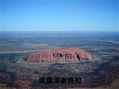 梁慕清谢言知（谢言知梁慕清小说）全文免费阅读无弹窗大结局_（谢言知梁慕清小说）梁慕清谢言知最新章节列表