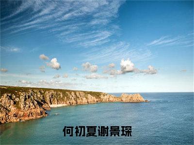 何初夏谢景琛小说何初夏谢景琛最新更新—何初夏谢景琛小说美文赏析