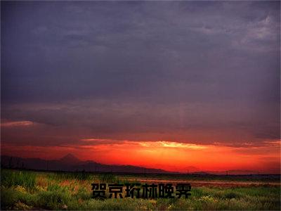 贺京珩林晚霁小说全文免费阅读_贺京珩林晚霁（贺京珩林晚霁）最新章节列表笔趣阁