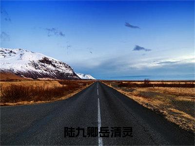 陆九卿岳清灵全文阅读-（岳清灵陆九卿）陆九卿岳清灵小说全文免费阅读_最新章节列表_笔趣阁