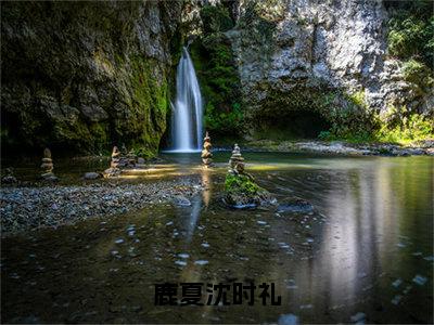 鹿夏沈时礼（鹿夏沈时礼）在哪里可以免费看-鹿夏沈时礼（鹿夏沈时礼）小说全章节免费阅读