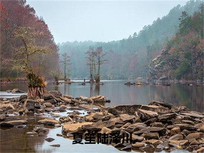 夏笙陆泽川（夏笙陆泽川）免费小说-主角夏笙陆泽川全文在线完本阅读笔趣阁