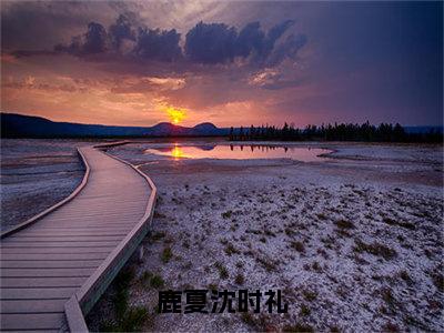 沈时礼鹿夏小说（鹿夏沈时礼）免费阅读_沈时礼鹿夏小说免费阅读-笔趣阁