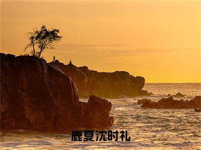 小说鹿夏沈时礼免费阅读-（鹿夏沈时礼）鹿夏沈时礼最新章节小说阅读-笔趣阁