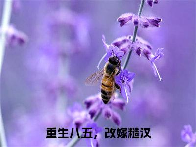 周霁之时娴在线阅读（重生八五，改嫁糙汉）全文免费阅读_重生八五，改嫁糙汉最新章节列表_笔趣阁