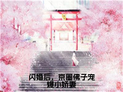 白芷傅宴辰在线阅读（闪婚后，京圈佛子宠爆小娇妻）全文免费阅读_闪婚后，京圈佛子宠爆小娇妻最新章节列表_笔趣阁