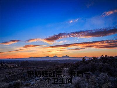 带奶娃逃荒，开局一个卫生间（华晚溪）小说最新章节在线阅读-带奶娃逃荒，开局一个卫生间（华晚溪）已完结全集大结局