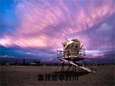 姜菲菲季时川（季时川姜菲菲）全文免费阅读无弹窗大结局_季时川姜菲菲无弹窗最新章节列表_笔趣阁