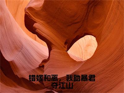 错嫁和离，我助暴君夺江山（林婉儿）小说全文免费阅读无弹窗_（林婉儿全文阅读）错嫁和离，我助暴君夺江山免费阅读大结局