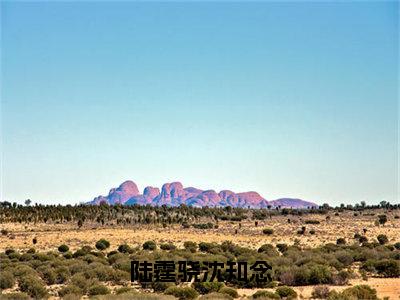 陆霆骁沈知念（沈知念陆霆骁）无弹窗小说免费阅读_陆霆骁沈知念最新章节免费阅读_笔趣阁