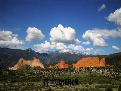 齐鸢陆明修齐鸢陆明修最新章节免费阅读齐鸢陆明修小说最新章节