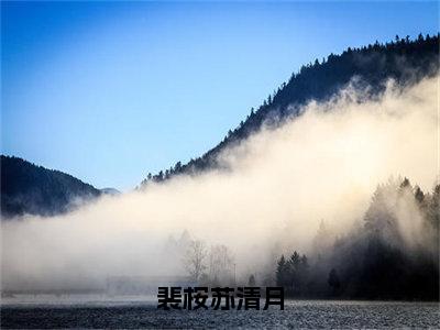 裴桉苏清月小说最新试读_苏清月裴桉是（裴桉苏清月全文完整版免费阅读）_笔趣阁