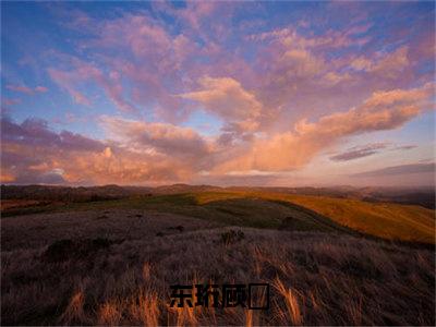 东珩顾晞小说东珩顾晞最新更新—东珩顾晞小说美文赏析