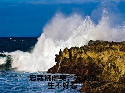 总裁被虐哭，夫人重生不好惹抖音池菱权修昀小说阅读完结版-小说池菱权修昀全文免费阅读