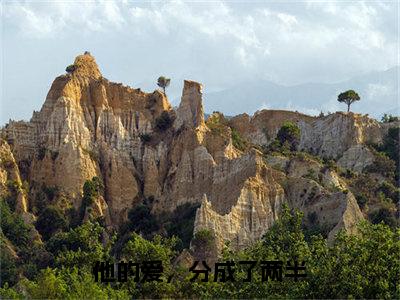 （他的爱，分成了两半）裴墨宸阮虞新书热荐免费小说-裴墨宸阮虞小说全文完整版阅读