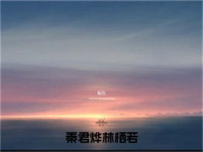 秦君烨林栖若（林栖若秦君烨）全文免费阅读无弹窗大结局_秦君烨林栖若全文免费阅读最新章节列表_笔趣阁