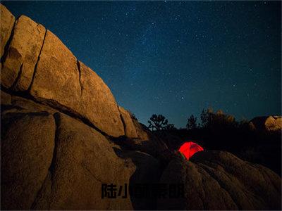 秦朗陆小酥（陆小酥秦朗）全文免费阅读_秦朗陆小酥（陆小酥秦朗）免费在线阅读_笔趣阁