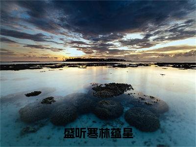 林蕴星盛听寒（盛听寒林蕴星）全文免费阅读无弹窗大结局_林蕴星盛听寒免费阅读无弹窗最新章节列表_笔趣阁