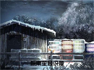 阮南笙顾识景（阮南笙顾识景）是什么小说-（阮南笙顾识景）无弹窗免费阅读大结局最新章节列表_笔趣阁