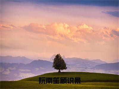 阮南笙顾识景（阮南笙顾识景全章节完整版）免费阅读_（阮南笙顾识景）阮南笙顾识景全文无删减免费阅读