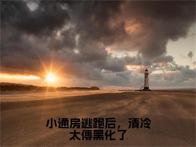 小通房逃跑后，清冷太傅黑化了（春桃谢安行）最新免费阅读-小通房逃跑后，清冷太傅黑化了小说在线阅读（后续+全集）