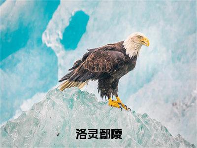 洛灵鄢陵（鄢陵洛灵）全文免费阅读无弹窗大结局_洛灵鄢陵最新章节列表_笔趣阁（鄢陵洛灵）