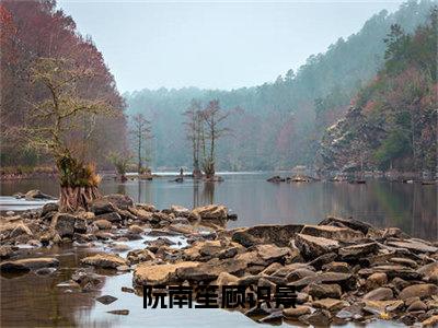 阮南笙顾识景（阮南笙顾识景）在哪免费看-小说（阮南笙顾识景）全文完整版免费阅读阮南笙顾识景