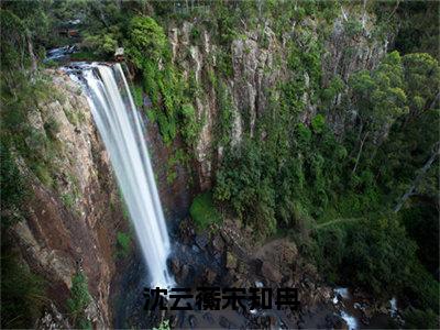 沈云蘅宋知冉（沈云蘅宋知冉）高质量小说推荐阅读-最新小说沈云蘅宋知冉全文阅读