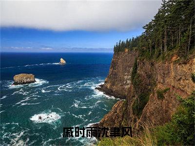 主角是戚时雨沈聿风的小说叫什么名字戚时雨沈聿风-老书虫书荒推荐热点小说戚时雨沈聿风（戚时雨沈聿风）