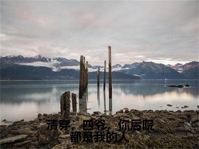 （安巧莹小说完整版）清穿，四爷，你后院都是我的人全文免费阅读-（清穿，四爷，你后院都是我的人）安巧莹小说最新章节列表