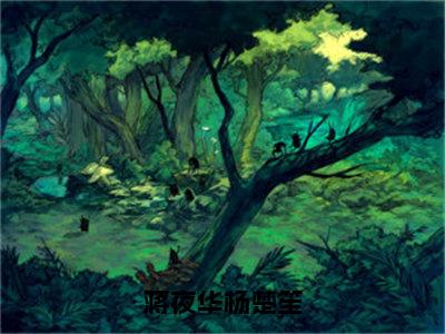 蒋夜华杨楚笙（杨楚笙蒋夜华）全文免费在线阅读_蒋夜华杨楚笙全文阅读_笔趣阁（杨楚笙蒋夜华）