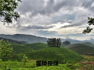 霍陵楚绵全集小说完整版大结局_楚绵霍陵完结版在线阅读