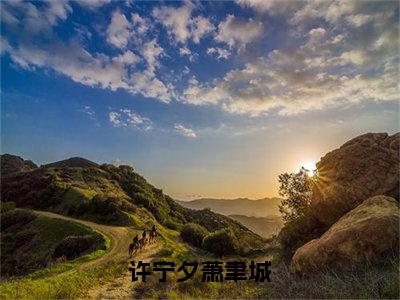 许宁夕萧聿城小说（许宁夕萧聿城）精彩章节-许宁夕萧聿城全文免费在线阅读