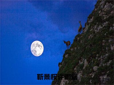 靳景桉许雨烟小说全文免费阅读_靳景桉许雨烟（许雨烟靳景桉）最新章节列表在线阅读