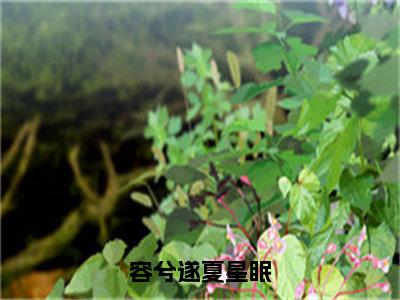 容兮遂夏星眠小说（夏星眠容兮遂）全文免费阅读无弹窗大结局_（夏星眠容兮遂）容兮遂夏星眠小说无弹窗精彩阅读_笔趣阁