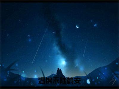 陆鹤安温锦禾（温锦禾陆鹤安）在线阅读的小说完整版-温锦禾陆鹤安（陆鹤安温锦禾）小说免费阅读