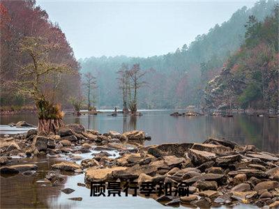 （顾景行季知渝）季知渝顾景行全文免费阅读无弹窗完整版_季知渝顾景行小说全文免费阅读