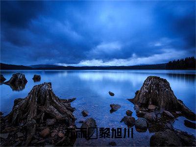 黎旭川苏雨濛小说大结局全文免费阅读-抖音小说苏雨濛黎旭川