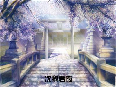 君樾沈黎（沈黎君樾）在线阅读小说全文无删减-沈黎君樾小说大结局