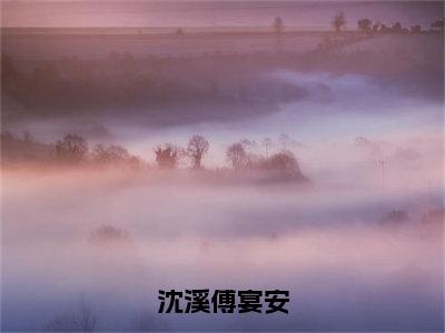 沈溪傅宴安小说最新试读_（沈溪傅宴安免费阅读最新章节列表）_笔趣阁