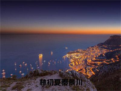 秦景川林初夏高赞小说（林初夏秦景川）完结阅读_林初夏秦景川免费看全文