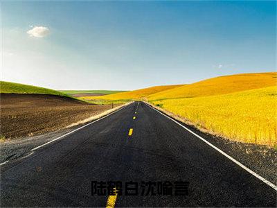 陆鹤白沈喻言沈喻言陆鹤白全文免费阅读无弹窗大结局_沈喻言陆鹤白（陆鹤白沈喻言）全文阅读_笔趣阁