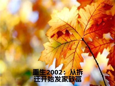 重生2002：从拆迁开始发家致富（华阳）最新免费阅读-重生2002：从拆迁开始发家致富小说在线阅读（后续+全集）