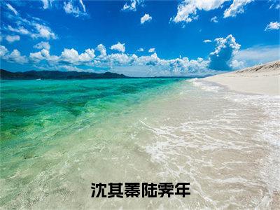 沈其蓁陆霁年全文全文免费阅读_沈其蓁陆霁年全文最新章节列表笔趣阁（沈其蓁陆霁年）